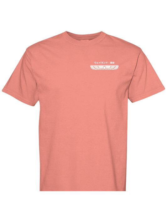 BRIGHT SALMON - C1717